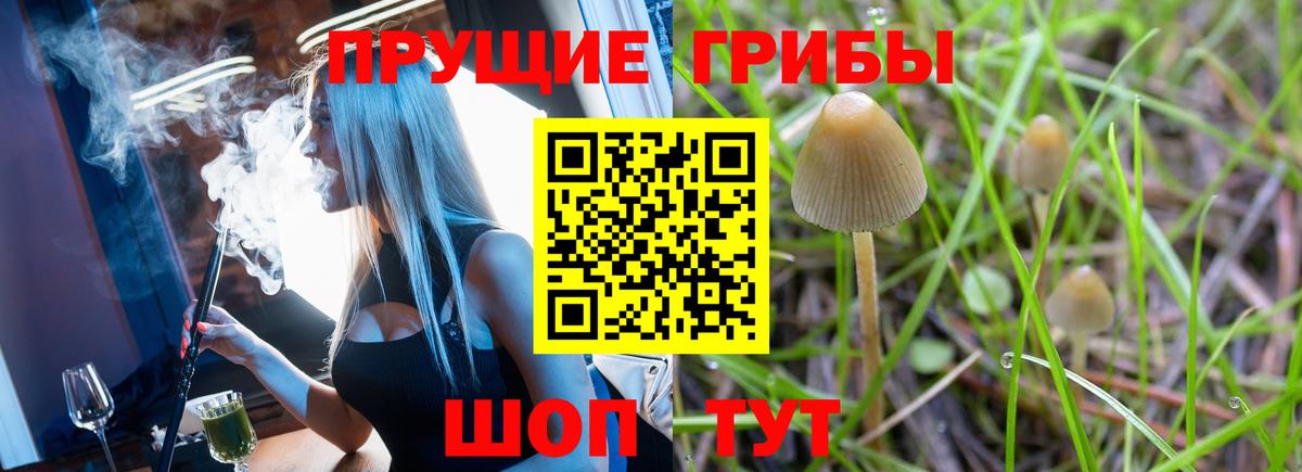 Псилоцибиновые грибы Cubensis Кирово-Чепецк