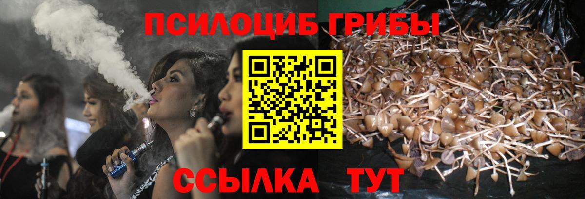 Мефедрон кристаллы  Кетамин  Канабис  Кирово-Чепецк  Альфа ПВП СОЛЬ   Cocaine  Меф  Вход с VPN  Каннабис  Вейп ТГК  ГАШИШ  Гашиш 